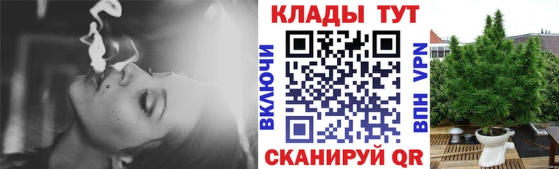 Купить закладку Заволжск Бошки Шишки АМФЕТАМИН Меф А ПВП