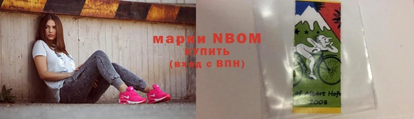 гашик Аркадак
