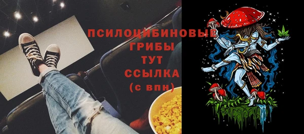 гашик Аркадак