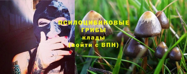твердый Балахна