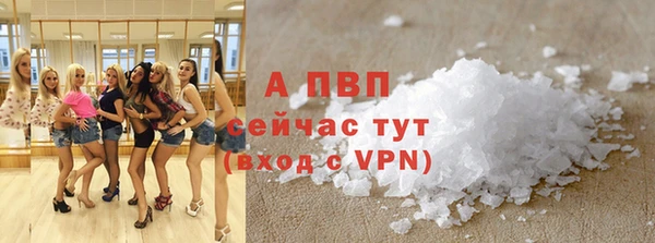 гашик Аркадак