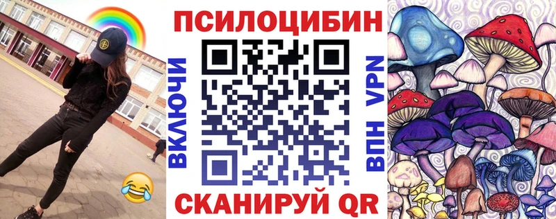 как найти   Заволжск  сайты даркнета телеграм  Псилоцибиновые грибы прущие грибы 